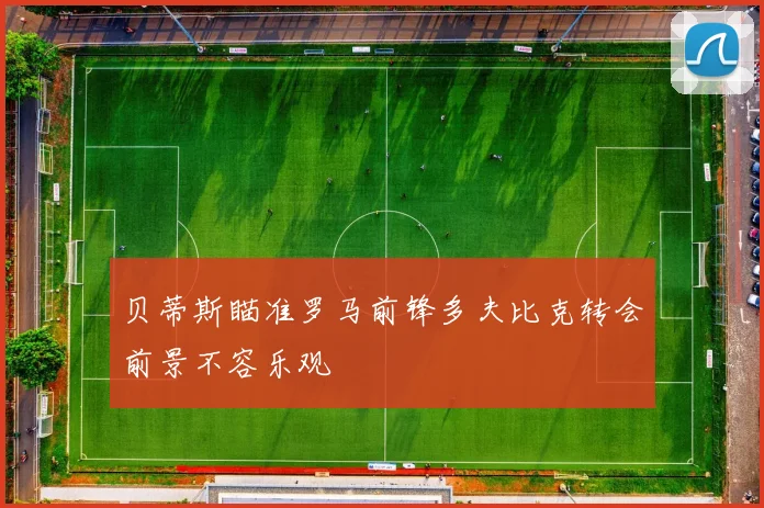 贝蒂斯瞄准罗马前锋多夫比克转会前景不容乐观
