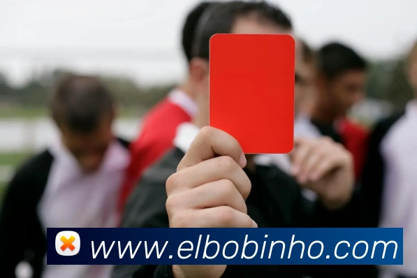 未来规划